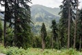 Summer mountains green grass and blue sky landscape. Caucasus mountains Royalty Free Stock Photo