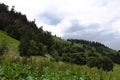 Summer mountains green grass and blue sky landscape. Caucasus mountains Royalty Free Stock Photo