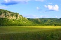 Summer landscape with green grass.Mountain forest and blue sky Royalty Free Stock Photo