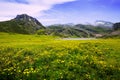 Summer mountains landscape with lake and pasture Royalty Free Stock Photo