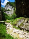 Summer in the canyon - Landscape in the mountains Royalty Free Stock Photo