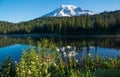Summer on Mt. Rainier, Reflection lake Royalty Free Stock Photo