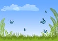 Summer natural meadow landscape background with green grass, plants, blue butterflies and sky. Royalty Free Stock Photo