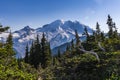 Summer natural scenery of Mount Rainier Sunrise and Paradise. Royalty Free Stock Photo