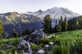 Summer natural scenery of Mount Rainier Sunrise and Paradise. Royalty Free Stock Photo