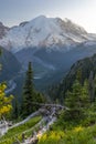 Summer natural scenery of Mount Rainier Sunrise and Paradise. Royalty Free Stock Photo