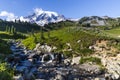 Summer natural scenery of Mount Rainier Sunrise and Paradise. Royalty Free Stock Photo