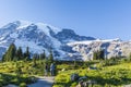 Summer natural scenery of Mount Rainier Sunrise and Paradise. Royalty Free Stock Photo