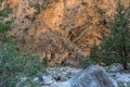 Samaria Gorge. Crete. Greece. Royalty Free Stock Photo