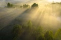 Summer nature background. Aerial landscape of nature in fog at sunrise. Misty morning on riverside in sunlight. Scenery nature in Royalty Free Stock Photo