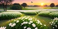 Summer nature background with blooming white flowers and fly butterfly against sunrise sunlight Royalty Free Stock Photo