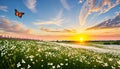 Summer nature background with blooming white flowers and fly butterfly against sunrise sunlight Royalty Free Stock Photo