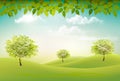 Summer nature background with a green trees and landscaper.