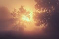 Summer nature background of yellow sunrise on foggy morning. Summer landscape of wild nature. Natural countryside in sunlight