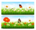 Summer nature banners with colorful flowers Royalty Free Stock Photo