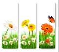 Summer nature banners with colorful flowers and butterfly. Royalty Free Stock Photo