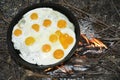 In the summer on the nature of the fire in a frying pan fried egg. Royalty Free Stock Photo