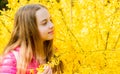 Summer nature. happy child with yellow bush bloom. little girl smell blooming flowers. Natural beauty. Childhood Royalty Free Stock Photo