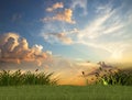 Nature landscape contryside green grass field trees and sun beam on cloudy fluffy blue and pink sky