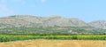 Summer nature landscape including sunflower field and mountains