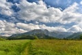 Summer nature landscape, Zakopane, Poland