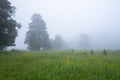 Summer nature. Misty morning. Beautiful tranquil morning landscape Royalty Free Stock Photo