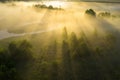 Summer nature in morning sunlight aerial view. Bright sunrise on foggy meadow. Scenery Vibrant sun rays through mist. Drone view