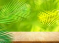 Summer and nature product display with wood table counter on blur coconut leaf background.fresh green tropical garden.For key Royalty Free Stock Photo