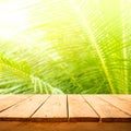 Summer and nature product display with wood table counter on blur coconut leaf background.fresh green tropical garden Royalty Free Stock Photo