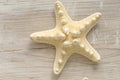 Summer nautical Wallpaper. beige starfish on white shabby chic background.Background in a marine style in white and