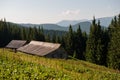 Summer near Chornohora mountain ridge in Carpathian mountains Royalty Free Stock Photo