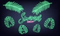 Summer neon set. Summer lettering and neon glowing tropical leaves set