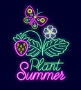 Summer neon sign with bright illumination. Butterfly fly above strawberry. Royalty Free Stock Photo