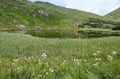 Summer Nesamovyte lake landscape, Chornohora ridge, Carpathian mountains, Ukraine Royalty Free Stock Photo