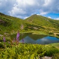 Summer Nesamovyte lake landscape, Chornohora ridge, Carpathian mountains, Ukraine Royalty Free Stock Photo