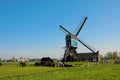 Summer in the netherlands, windmill and livestock pastures