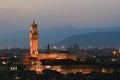 Florence. Panoramic view of the city