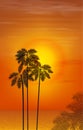 Summer night. Palm trees on the background of Royalty Free Stock Photo