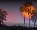 Summer Night. Palm trees in the night. Vector Royalty Free Stock Photo