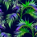 Summer Night. Palm trees in the night. Royalty Free Stock Photo