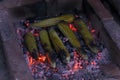 Summer nights by the fire. Roasting corn on the cob at night on summer days