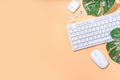 Summer office background with keyboard Royalty Free Stock Photo