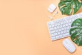 Summer office background with keyboard Royalty Free Stock Photo