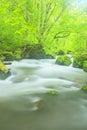 Summer of Oirase Stream Royalty Free Stock Photo