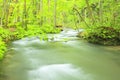 Summer of Oirase Stream Royalty Free Stock Photo