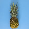 Summer organic tropic pineapple on pastel blue background. Flat lay fruit minimal Royalty Free Stock Photo