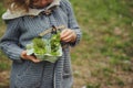 Summer outdoor activity for kids - scavenger hunt, leaves sorting in egg box Royalty Free Stock Photo