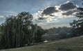 Summer outdoor park landscape river lake green trees ble sky