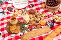 Summer outdoor picnic party. Food, honey and fruits lay on checkered blanket Royalty Free Stock Photo