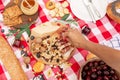 Summer outdoor picnic party. Food, honey and fruits lay on checkered blanket Royalty Free Stock Photo